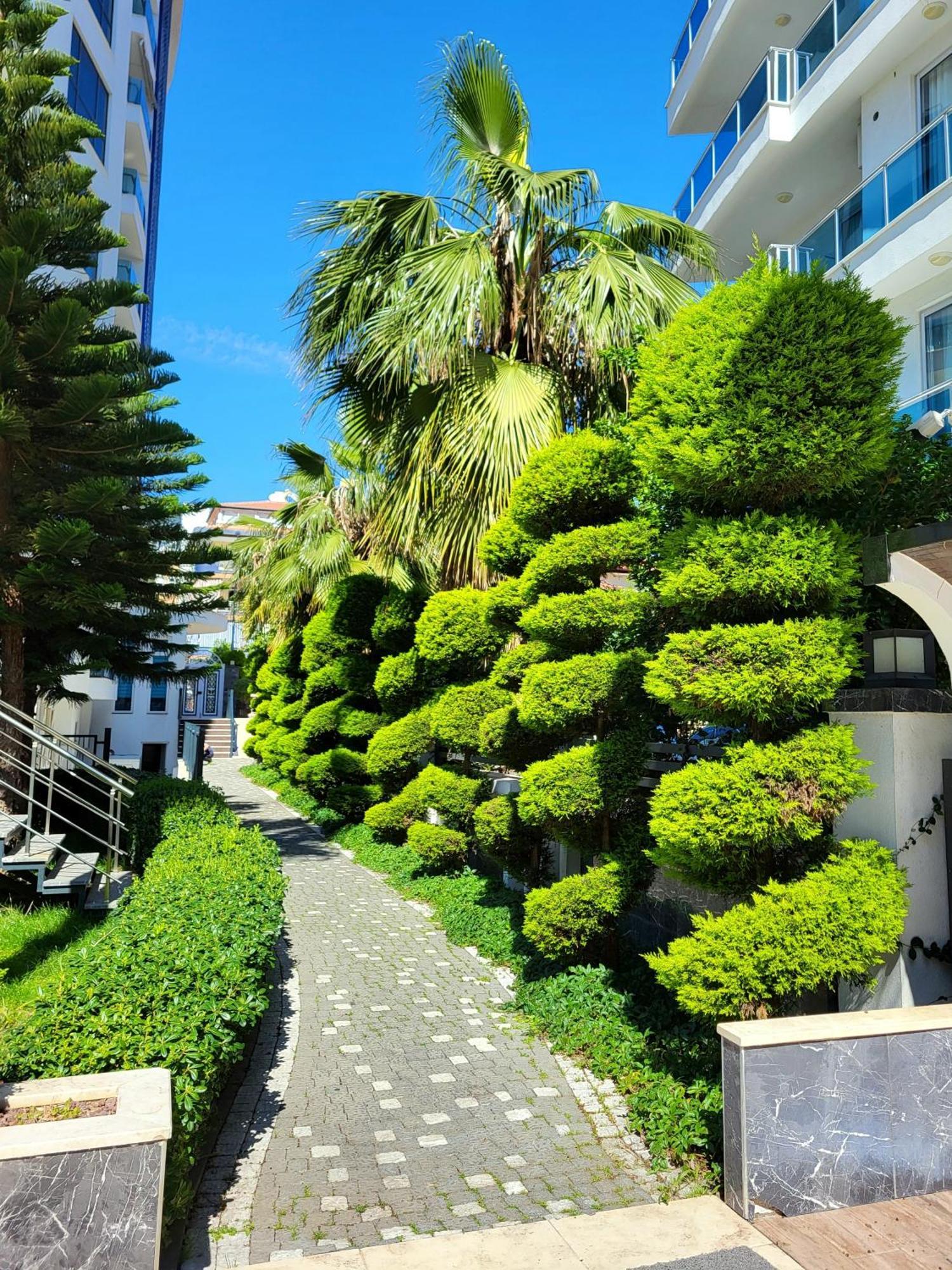 Elite Marine Residence - Cleopatra, Center Alanya Ngoại thất bức ảnh